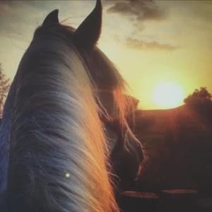 Meet your Posher, Mandy